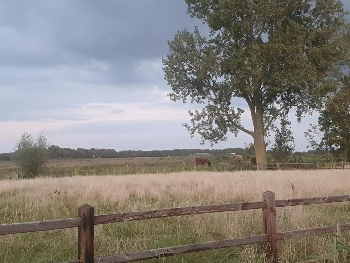Cottage Geestmerambacht, Een Nieuw Vrijstaande Sfeervol En Landelijk Gelegen Vakantiewoning Koedijk Exterior foto